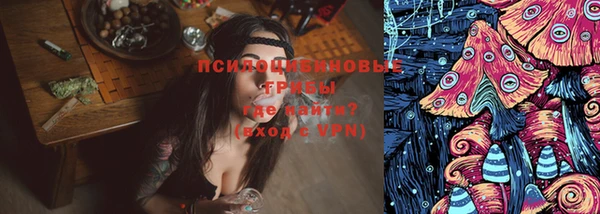 соль ск Осинники