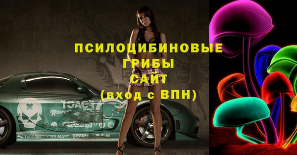 соль ск Осинники