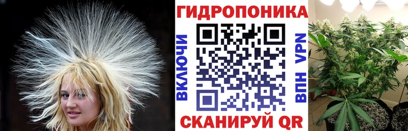 цена   Агрыз  Бошки марихуана план 